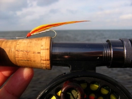 Red head Mickey Red head Mickey