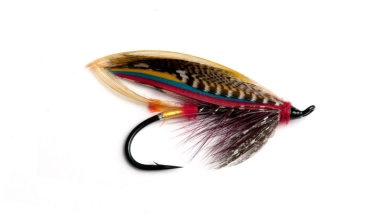 Black Doctor Black Doctor