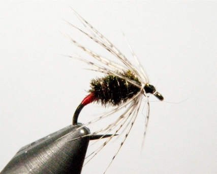 Partridge Red Tag 1 Partridge Red Tag 1