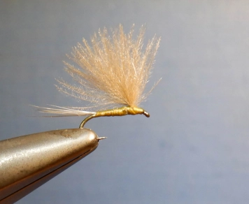 BWO CDC Thread Dun BWO CDC Thread Dun