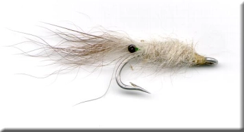 The Match Shrimp The Match Shrimp