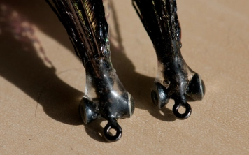 Bug-Bond heads Bug-Bond heads