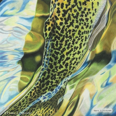 Cutthroat Passion Cutthroat Passion