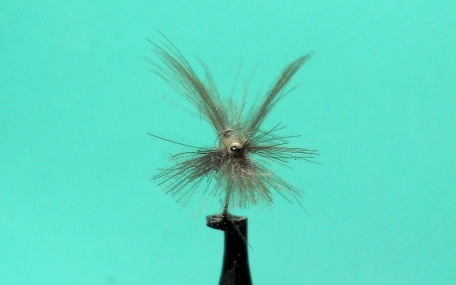 The X-Factor The X-Factor