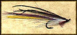 MAGOG FLATTAIL DECEIVER Image