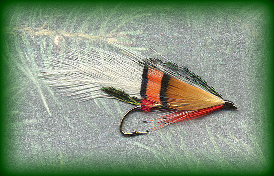 White Pheasant Streamer 