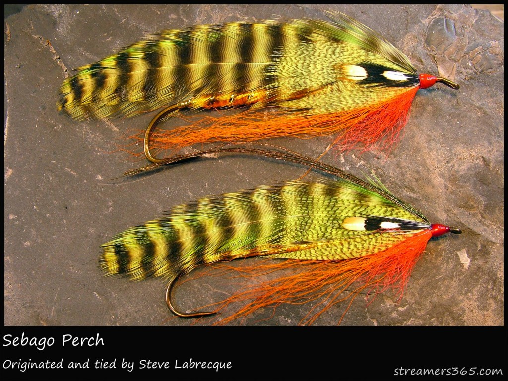 #34 Sebago Perch - Steve Labrecque