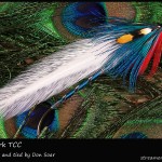 #36 New York - Team Colors Collection - Don Soar