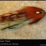 #53 Baby Brown Trout - Jon Harrang