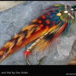 #73 Dixie - Don Ordes