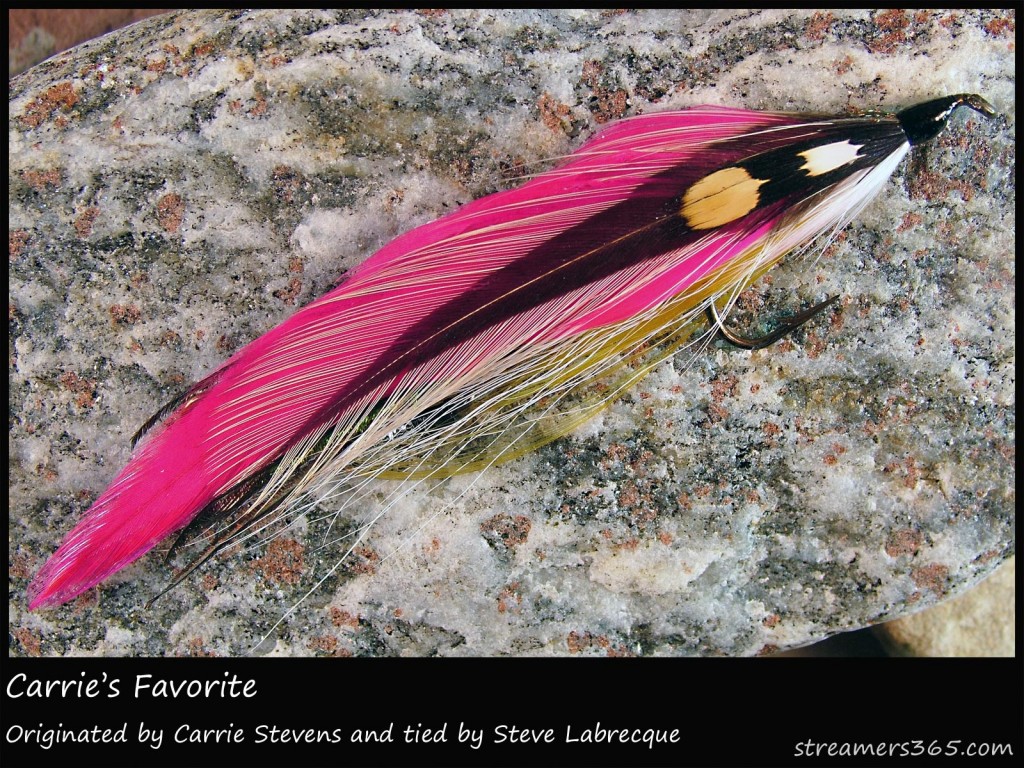 #76 Carrie's Favorite - Steve Labrecque