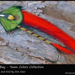 #101 Tampa Bay - Team Colors Collection - Don Soar