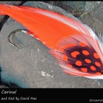 #132 Spotted Cardinal - David Mac