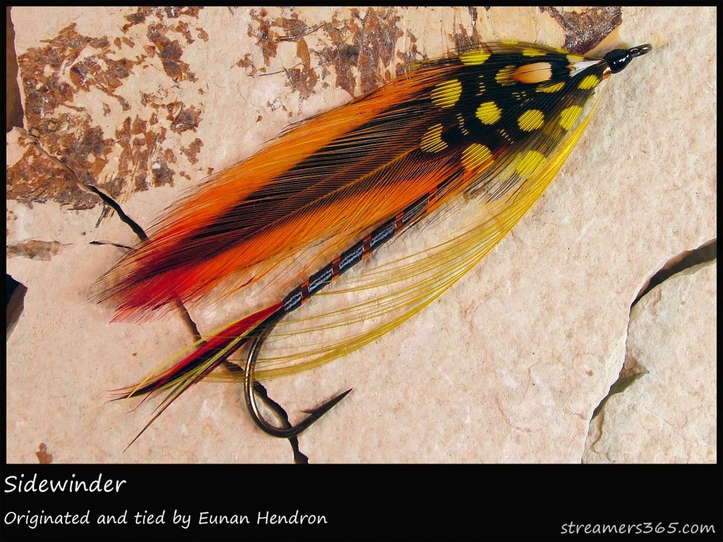 #141 Sidewinder - Eunan Hendron