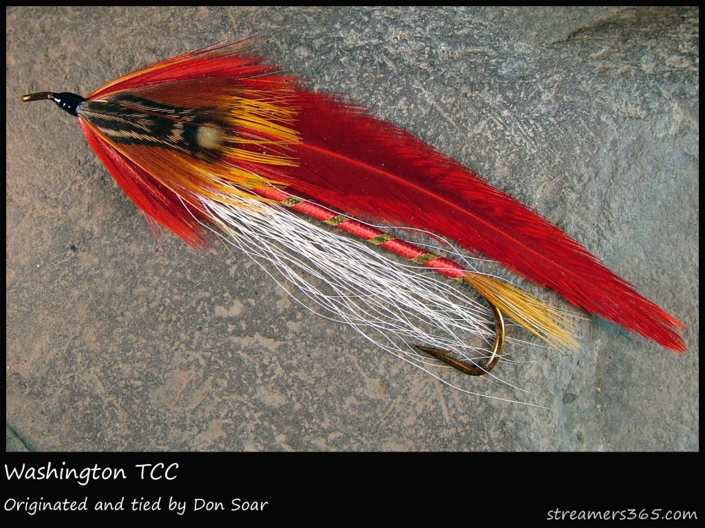 #167 Washington - Team Colors Collection - Don Soar