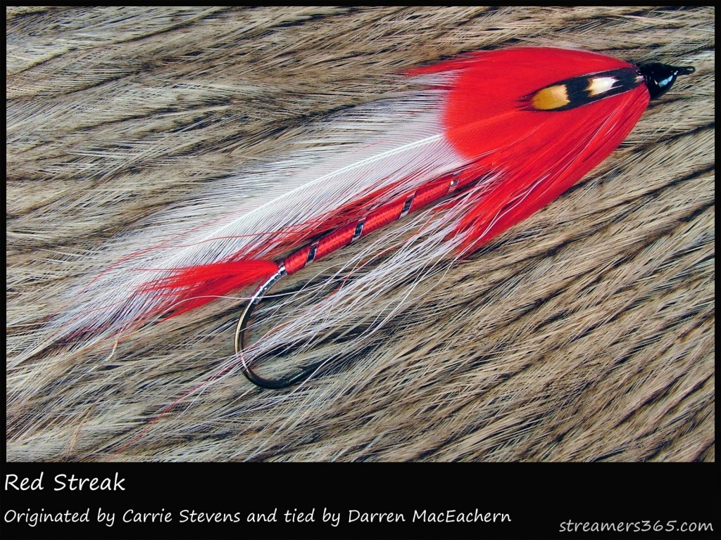 #207 Red Streak - Darren MacEachern