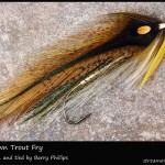 #222 BP Brown Trout Fry - Barry Phillips
