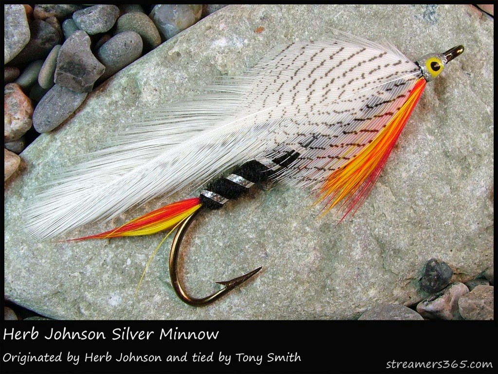 #266 Herb Johnson Silver Minnow - Tony Smith