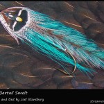 #267 Humes Bartail Smelt - Joel Stansbury