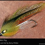 #270 BP Brookie Trout Fry - Barry Phillips
