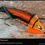 #316 Golden Pheasant - Dave Lomasney