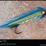 #344 San Diego - Team Colors Collection - Don Soar