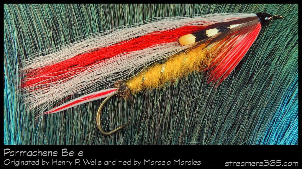 #18-2013 Parmachene Belle by Marcelo Morales