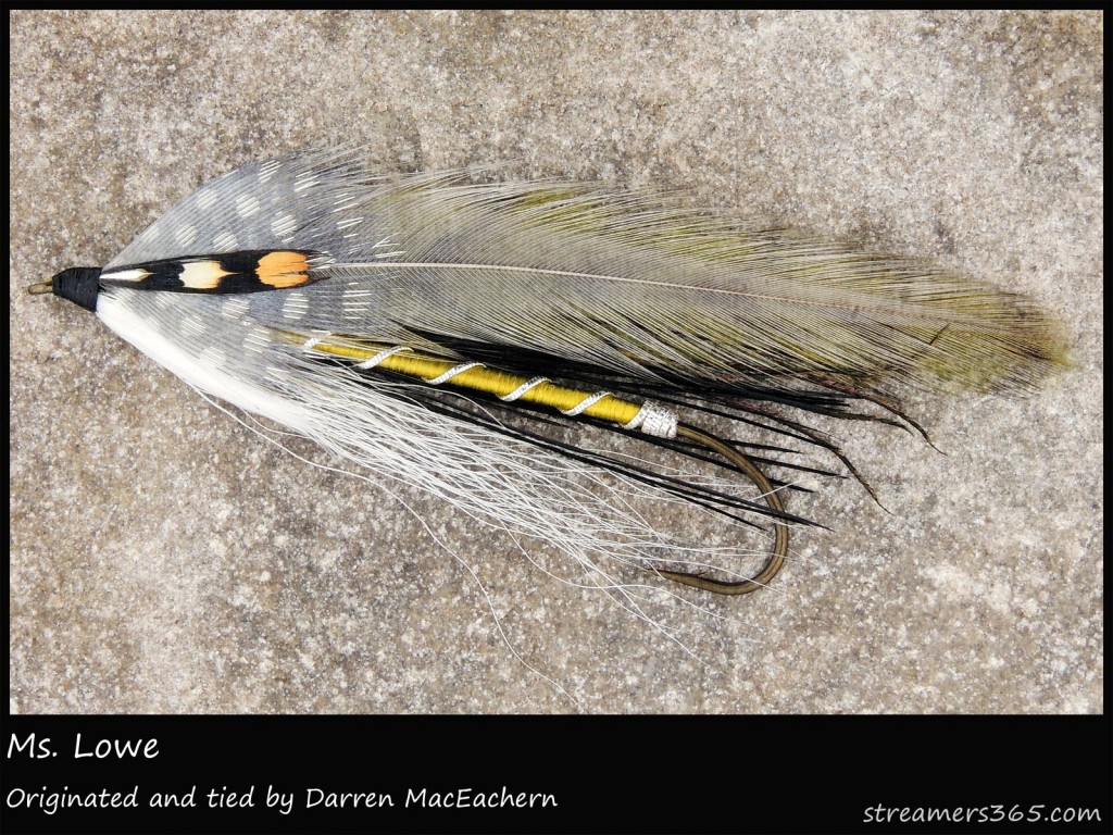 Ms. Lowe Streamer by Darren MacEachern