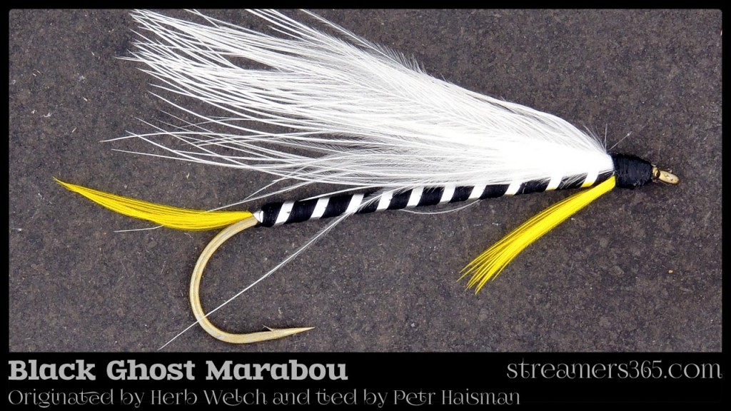 Black Ghost Marabou - Petr Haisman