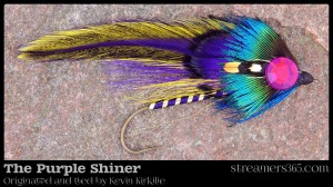 The Purple Shiner - Kevin Kirkelie