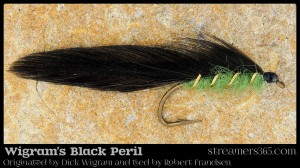 Wigram's Black Peril Matuka by Robert Frandsen