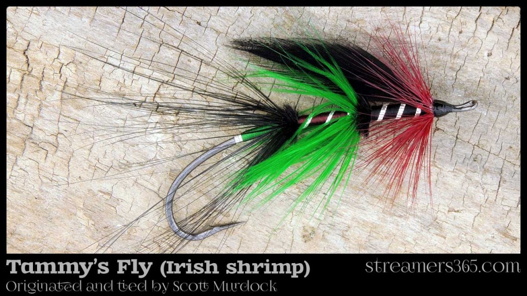Tammy's Fly - Irish Shrimp by Scott Murdock