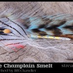 Bill's Lake Champlain Smelt - Bill Chandler