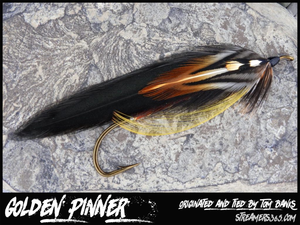 Tom Bank's Golden Pinner Featherwing Streamer Fly pattern