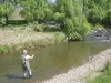 User submitted picture: Perfect New Zealand day -...